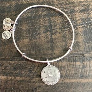 ⚙️TARNISHED ALEX AND ANI⚙️